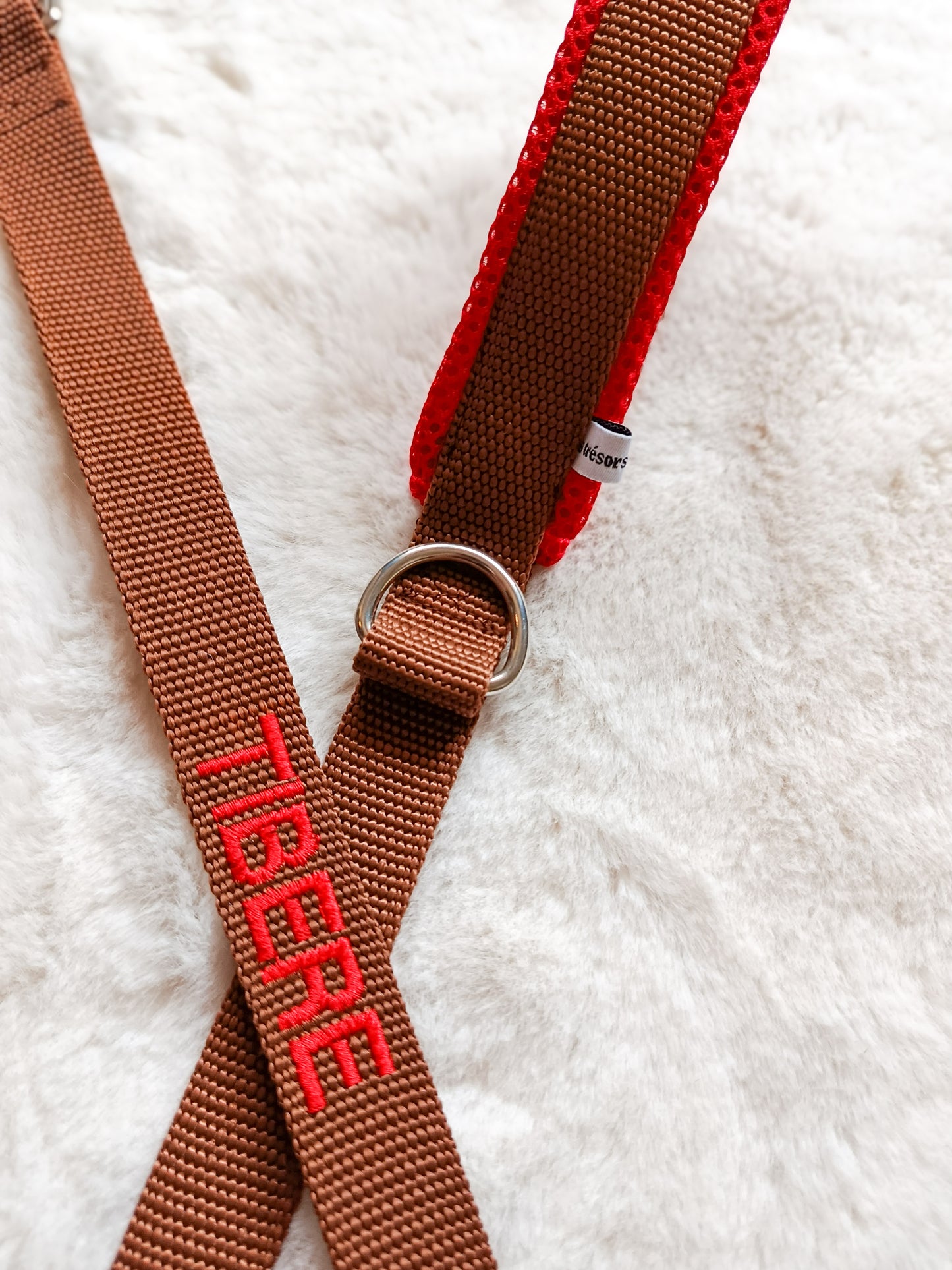 Laisse personnalisée