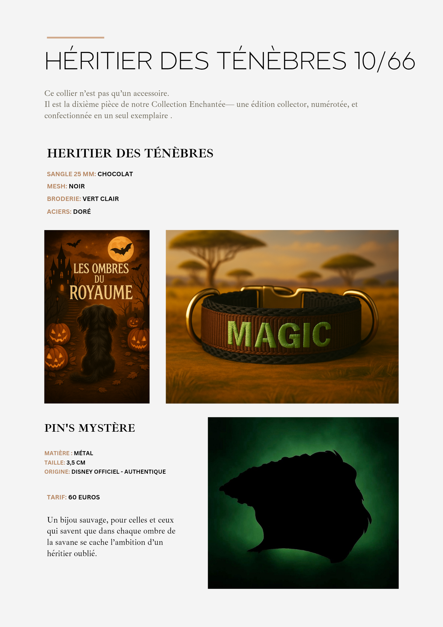 Héritier des Ténèbres 10/66