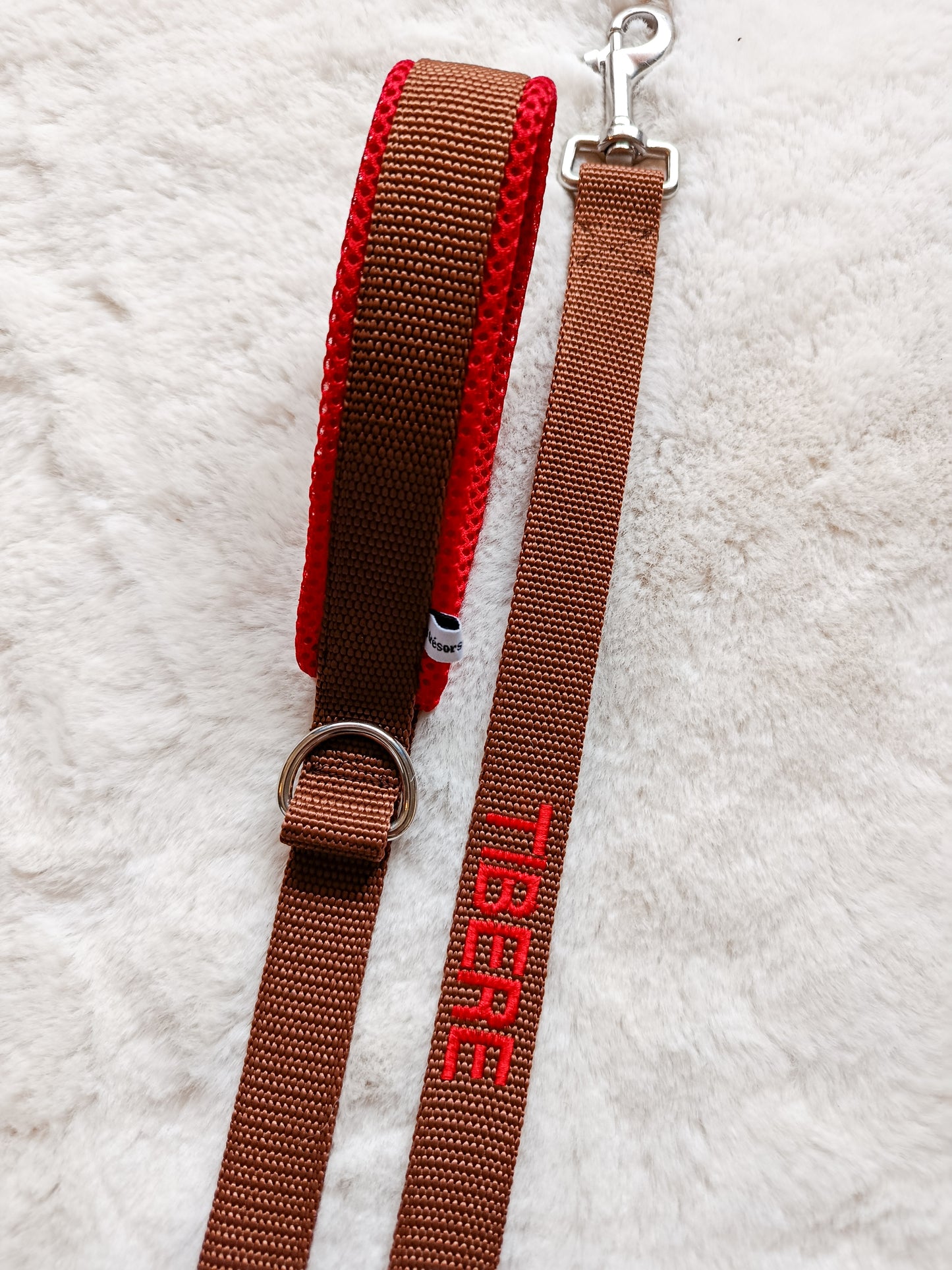 Laisse personnalisée