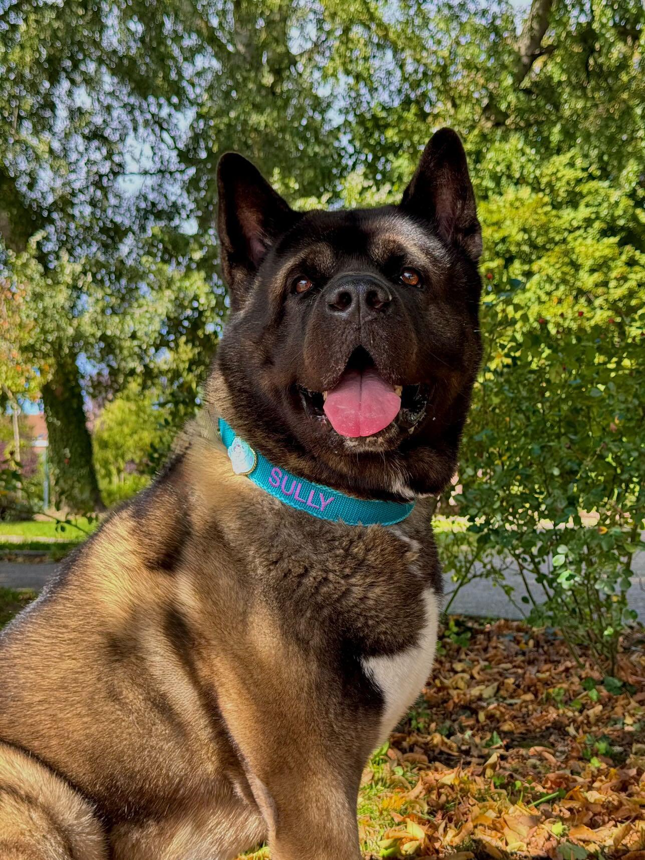 Collier personnalisé